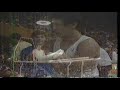 本家モリスエ　森末慎二（日本）平行棒1984中日カップ東京大会