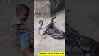 विशालकाय अजगर ने बच्चे को लपेट लिया🐍Ajgar ne bacche ko lapet liya👦Big python with child