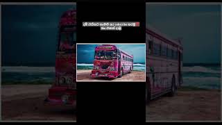 දම් රැජිනට කැමති අය subscribe කරමු❤️ #bus#busviral #dhamrajini#viralshorts