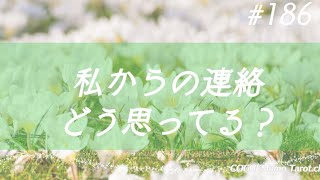 私からの連絡どう思ってる？あの人の本音【オラクル タロットリーディング】片思い、交際、恋愛、あの人の気持ち、願望