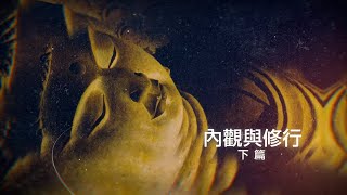 【內觀與修行-下篇】