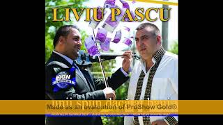 Liviu Pascu  - Salcamule de la drum