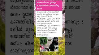 അനശ്വര സ്നേഹം: ഉടമയുടെ ശവകുടീരത്തിൽ നായയുടെ നിത്യ കാവൽ | #dog #dogs #shorts #viralvideo