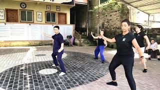 Chen Style TaiChi 18 Form - 4  / Master Ping