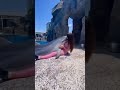 dolphin annoy girl dolphin and girl shorts youtubeshorts shortvideo