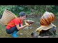 2 Days Harvesting Snails and Red Coconuts to Sell at the Market - Lý Thị Ngọc