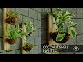 coconut shell planter for garden | ചിരട്ട കൊണ്ടൊരു wall hanging planter