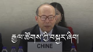 UN Review of China's Human Rights Record and Tibet Highlights