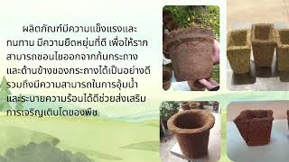 กระถางเพาะชำย่อยสลายได้ | ภาคเรียนที่ 1/2565