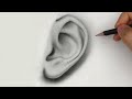 How to Draw Ears | Side View