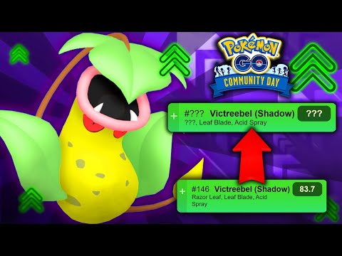 BETTER THAN YOU THINK! *NEW* BELLSPROUT COMMUNITY DAY IS ACTUALLY GREAT FOR PVP GO NEWS