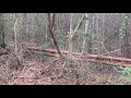 i found an old vintage gulf gas station in the woods while hiking destinationdesolation