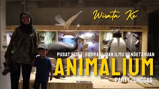 AKHIRNYA KITA BERKUNJUNG KE ANIMALIUM (PART 1)