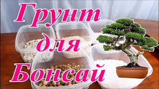 Грунт для Бонсай