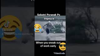 Powrót Z Imprezy #dailyvlog #funnyvideo #daily #smieszne #dailynews #funny