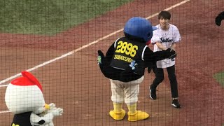 つば九郎、来季から群馬クレインサンダーズに加入する五十嵐圭選手の始球式を見守る