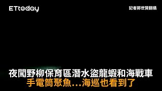 夜闖野柳保育區潛水盜龍蝦和海戰車　手電筒聚魚…海巡也看到了