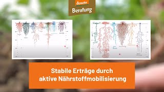 Stabile Erträge durch aktive Nährstoffmobilisierung