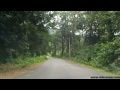 driving through forests of shimoga nh196