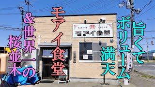 旨くてボリューム満天！モアイ食堂＆世界一の桜並木【青森県弘前市】