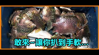 【吳小珍】不要再問了! 中部扒魚點~影片中大公開!! 免費~海水綜合池! (tafukor / Como Jogar Tarrafa / Cast Net / 黑公 手拋網 撒網 投網 八卦網)