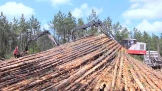 Fiber Resources Division