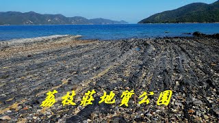 2021 大埔 白沙澳荔枝莊雞麻峒蛇石坳深涌榕樹澳到水浪窩