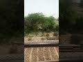 train running at 120km hr indianrailways