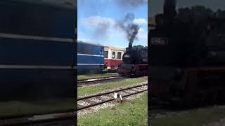 Steam train Jindrichuv Hradek - Nova Bystrice and Regional Train