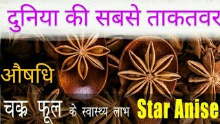 चक्र फूल के फायदे/हमेशा जवान रहें/Star Aniखाने का सही तरीका#krishnaprachi #