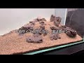 hardscape layout of triangular composition. how to set up a hardscape tank for aquarium beginners.