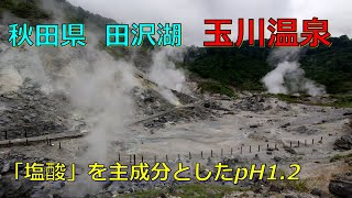 【玉川温泉】 温泉の湧出量は日本一での効能溢れる癒しの宿。玉川温泉は11種類の浴槽がある大浴場があります。＃玉川温泉　#onsen  #高校野球 ＃自炊