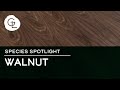 Black Walnut Wood Veneer Sheets