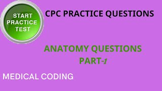 CPC Anatomy practice questions..