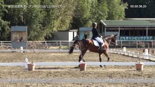 第31回宝馬オープン杯：山崎杏子／ウィンドバートラム(A2課目2013トレーニング)