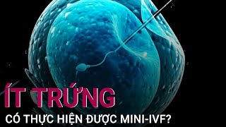 Ít trứng có thực hiện được phương pháp Mini-IVF? | VTC Now