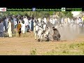 Bull Race in Dadyal , A.K Pakistan 2019|part_1 | Kashmir Movie Production