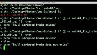 Unix for Neuroimagers #6: Conditional Statements