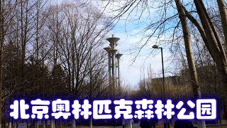 从赛场到绿洲：北京奥林匹克森林公园