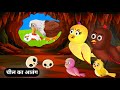 जालिम चील की कहानी|Cheel Ka Undaa|Rano Chidiya Ki New Kahaniyan|Tuni Chidiya Ka Ghar|Birds Stories