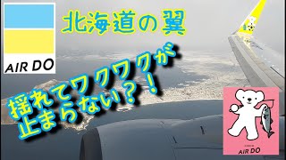 【北海道の翼】AIRDO　58便（ANA　4758便）　函館空港から東京国際空港まで　修学旅行生と共に