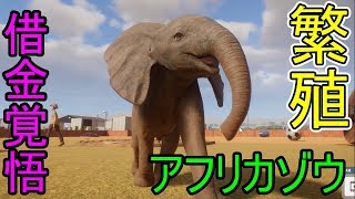 【プラネットズー】借金覚悟のアフリカゾウ繁殖作戦＃64【Planet Zoo】