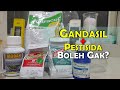 MENCAMPUR GANDASIL DAN INSEKTISIDA DAN FUNGISIDA