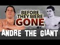 Andre The Giant Before They Were Gone Biography