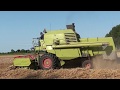 Landb. Van Belleghem - Zuienkerke - Claas Mercator 75