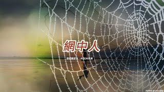 網中人 (張德蘭版本)(粵語)(卡拉OK伴奏)(懷舊金曲)