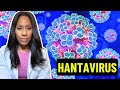 The Dangerous Truth About Hantavirus: Symptoms, Transmission & Causes! | Dr. Jen Caudle