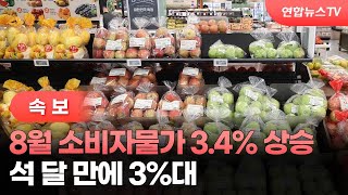 [속보] 8월 소비자물가 3.4% 상승…석 달 만에 3%대 / 연합뉴스TV (YonhapnewsTV)