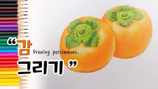 감을 그리는 방법을 알려 드려요. (스케치, 색연필 번호 포함) How to draw fruits step by step.