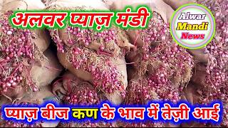 प्याज़ के बीज (कण) का भाव अलवर मंडी Alwar pyaj mandi bhav today #alwarmandinews #onion #onionseeds